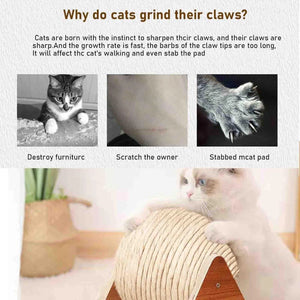 Explanation of why cats grind their claws with images and text.