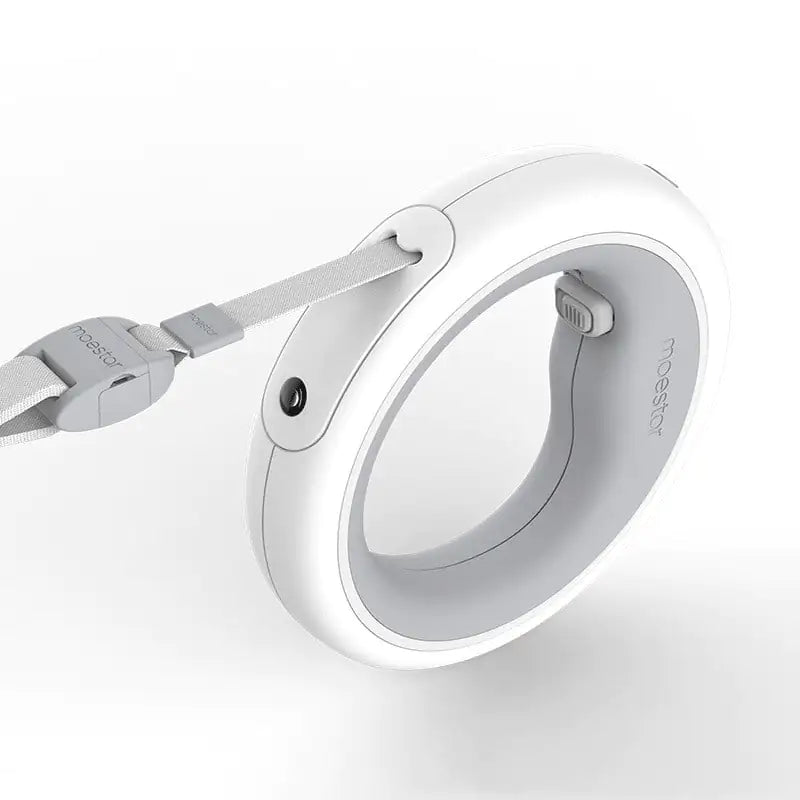 Chic Flexi King Pet Leash & Collar