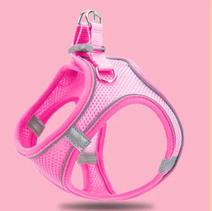 Reflective Pet Vest & Leash Combo — Breathable All-Season Harness with Safety Traction Rope, Adjustable Sizes - petcareville