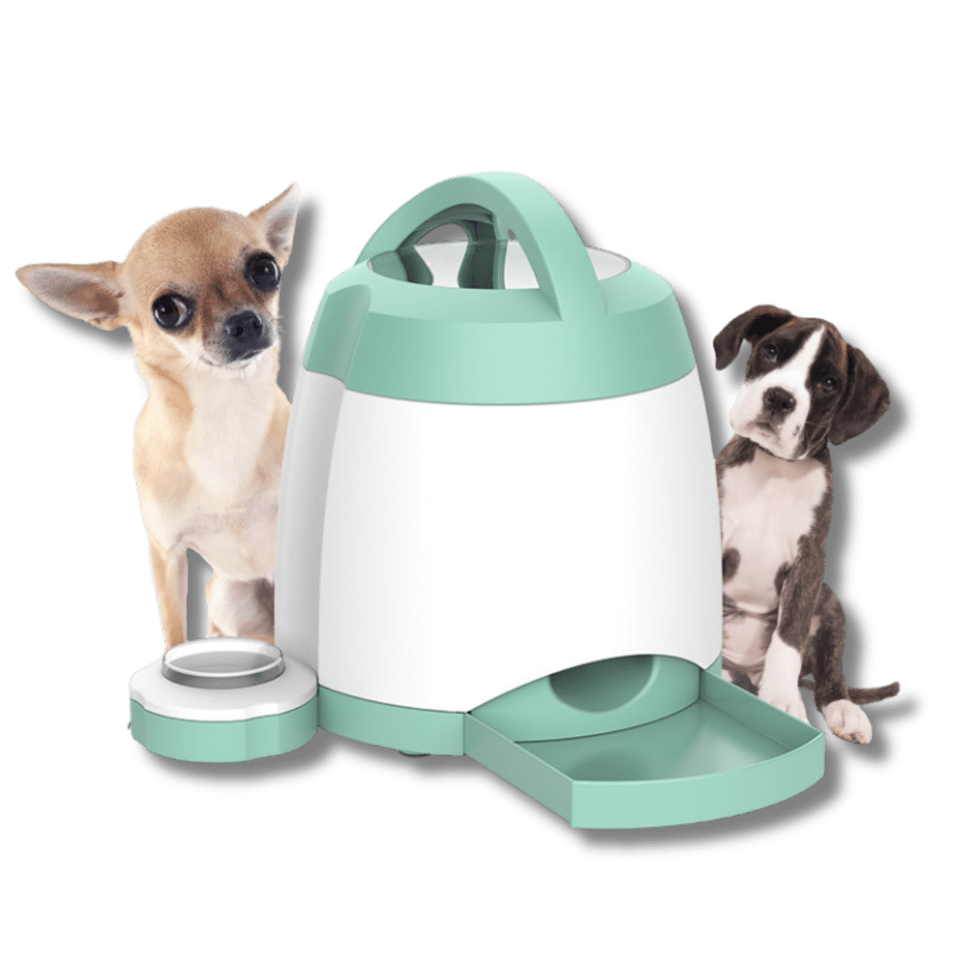 SmartFeed Button Activated Dog Feeder – Automatic Dog Food and Water Dispenser - petcareville