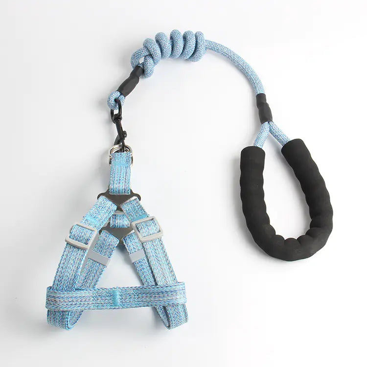 Collars & Leashes