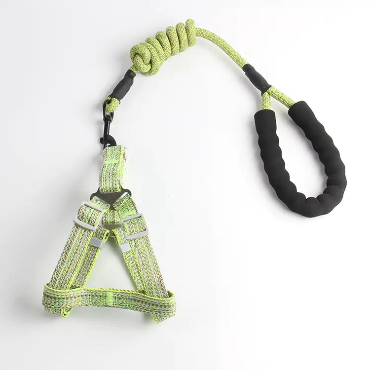 Small Dog Walk Set - Wholesale