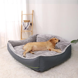 Dog lying on a gray pet bed in a room with a wooden shelf and white curtains.