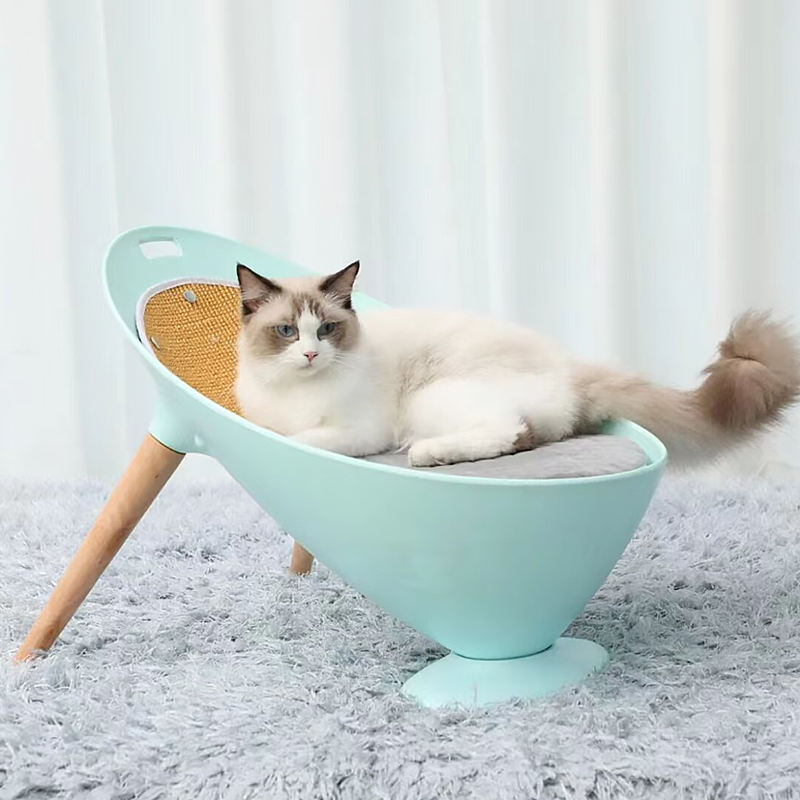 Cat lying on a turquoise pet bed with wooden legs against a white curtain background