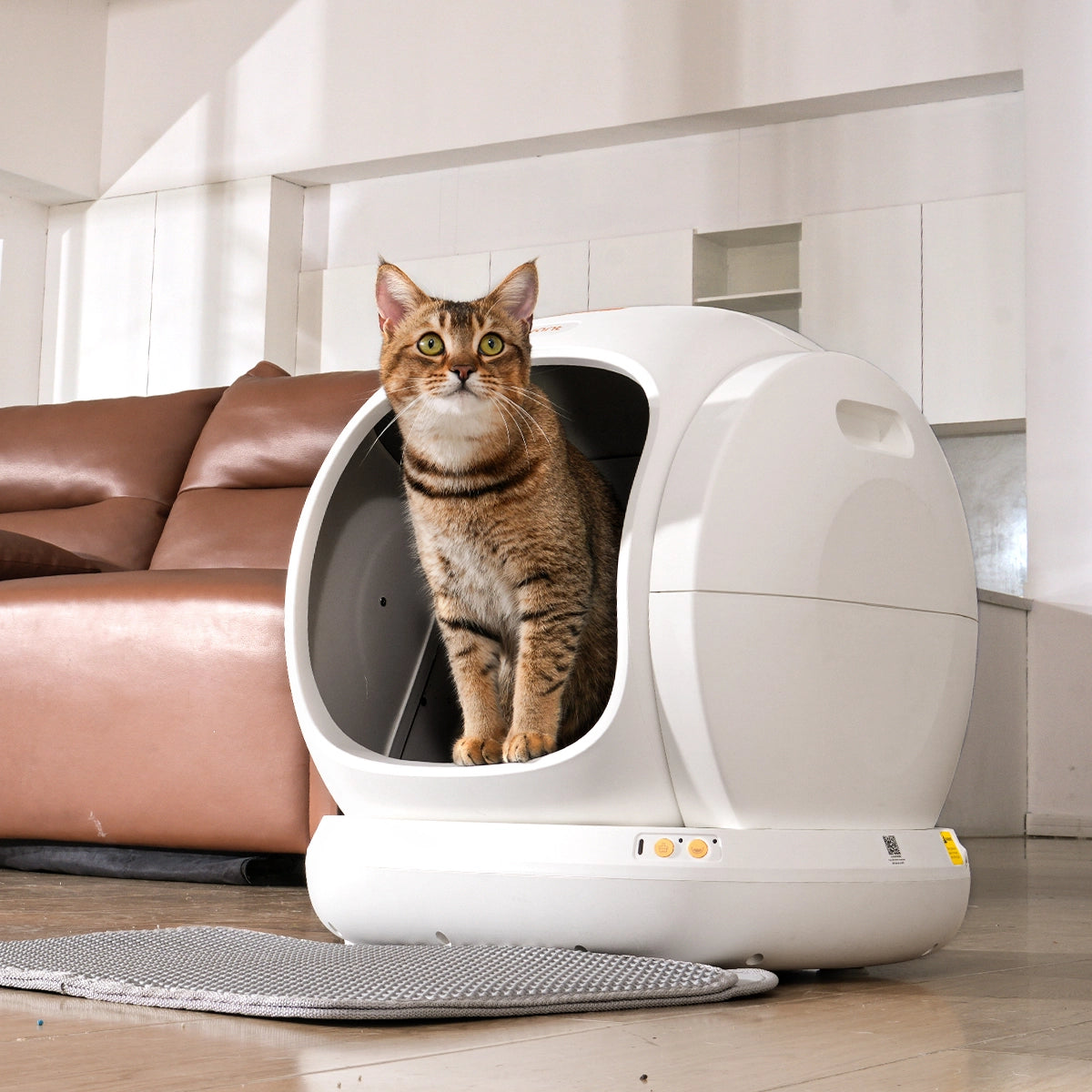 Cat standing inside a modern white pet bed in a living room.