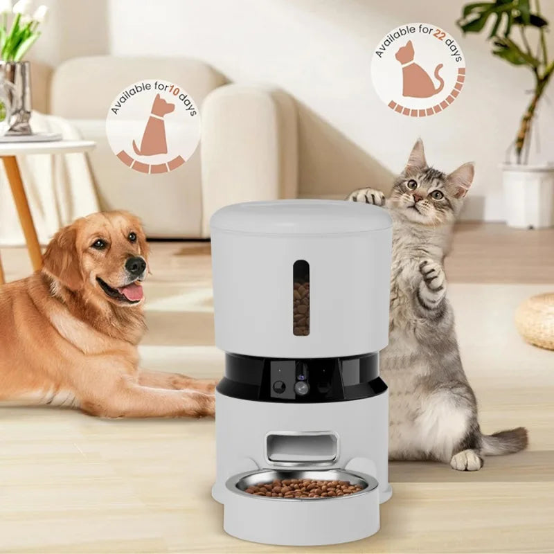 Pet feeder with a dog and cat in a home setting