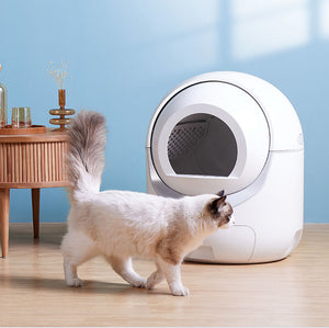 Cat approaching a modern litter box in a home setting