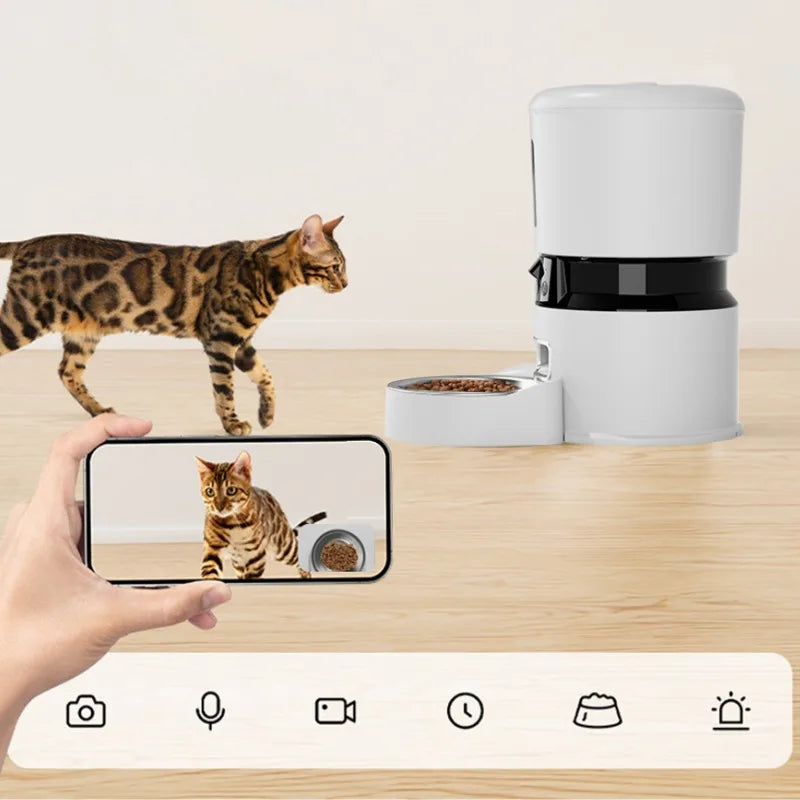 Smart pet feeder with a cat and smartphone displaying a cat on a wooden surface