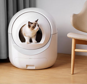 Cat using a modern litter box on a wooden floor with a chair in the background