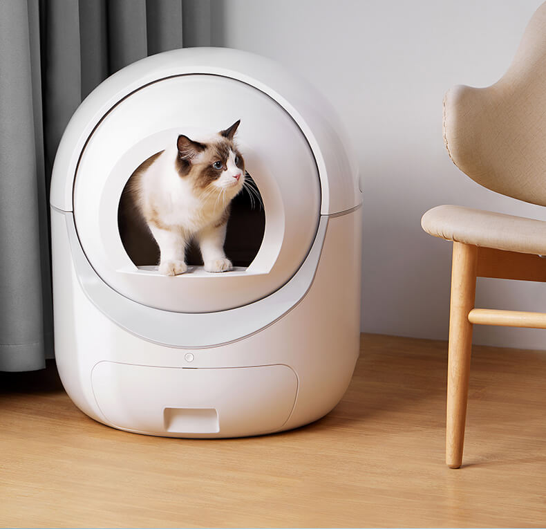 Cat using a modern litter box on a wooden floor with a chair in the background