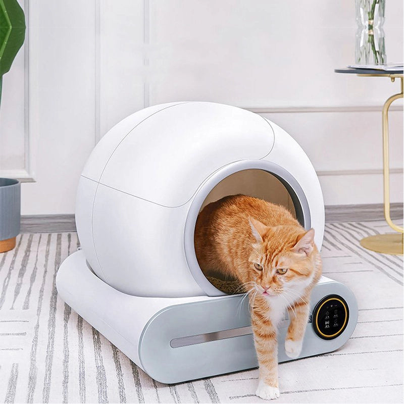Smart Self-Cleaning Cat Litter Box with App Control | Automatic Odor-Free Pet Care