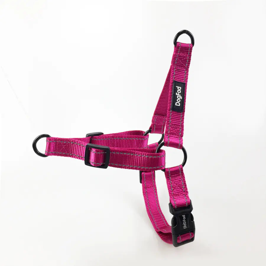 Luminous Dog Safety Harness