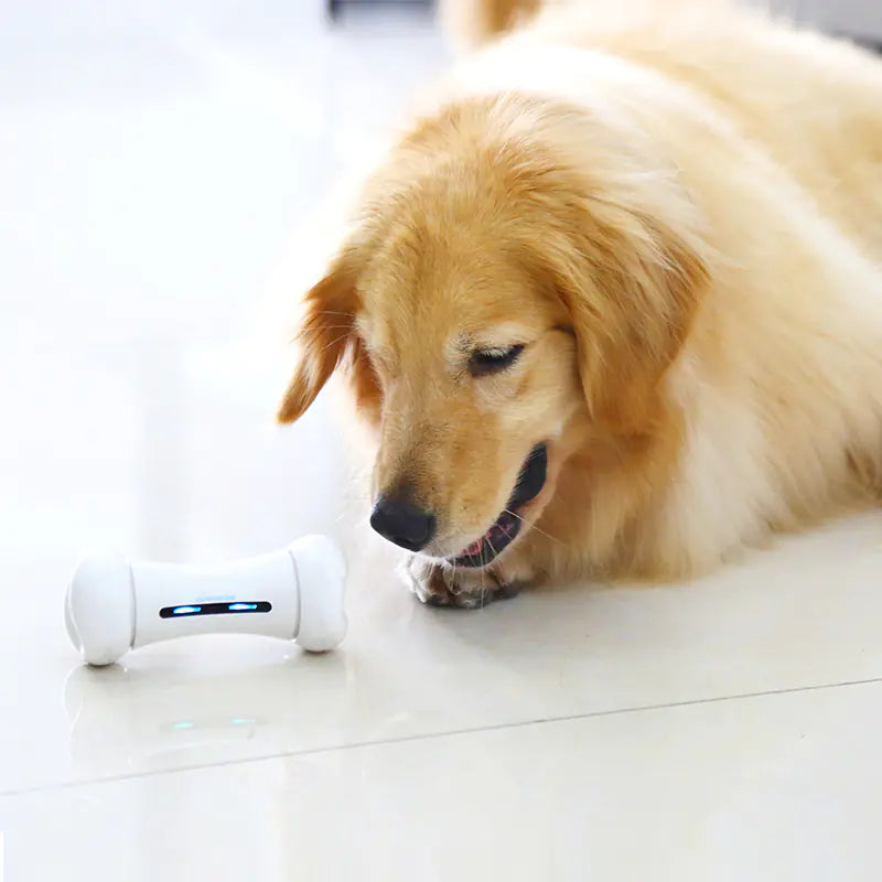 IntelliBone Robotic Pet Toy