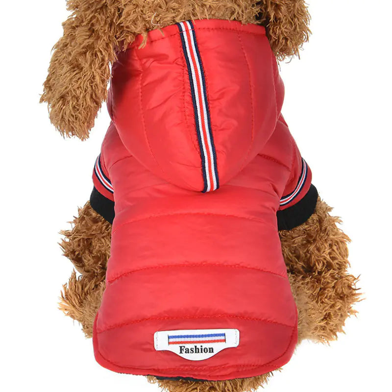 Chic Pet Winter Jacket