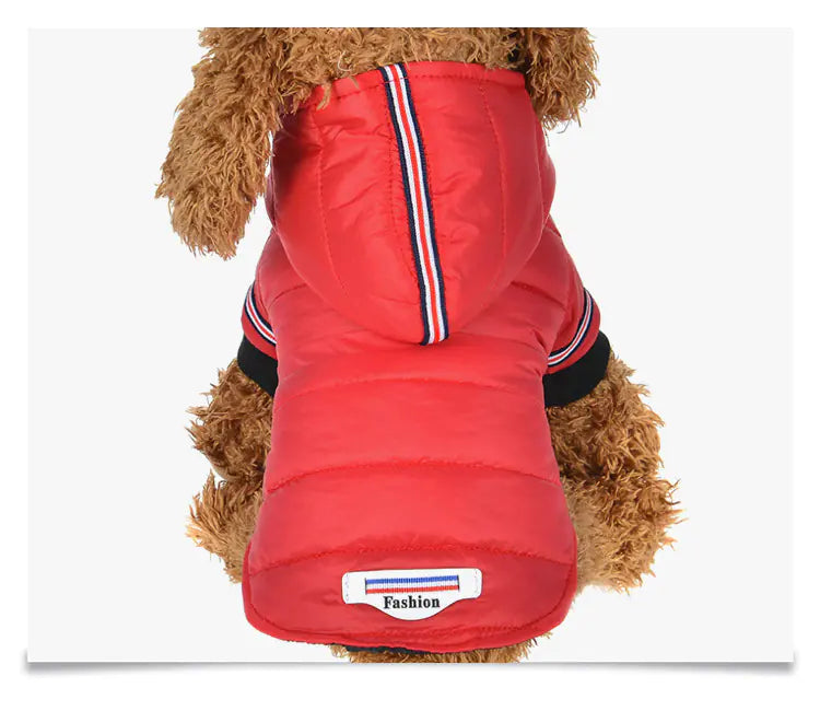 Autumn Winter Cotton Jacket for Small Dogs & Cats