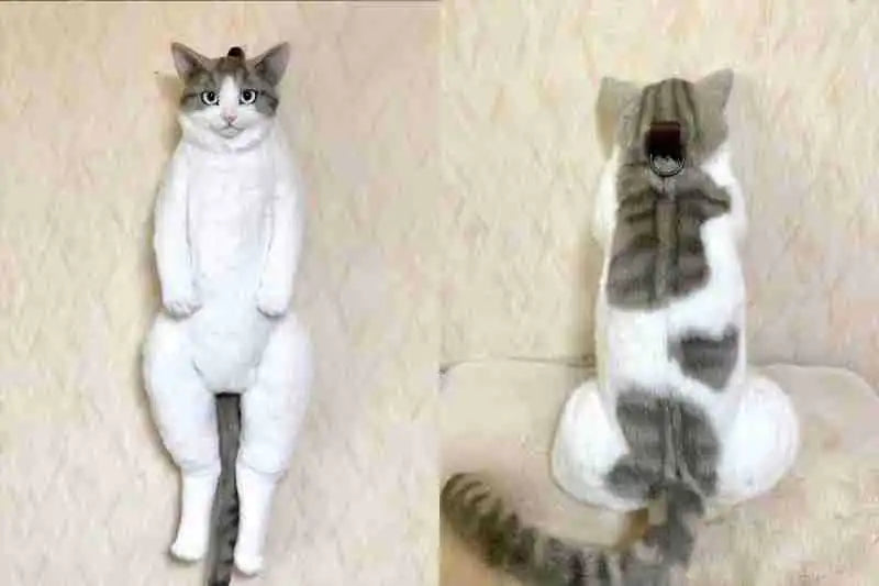 Kitty Companion Backpack