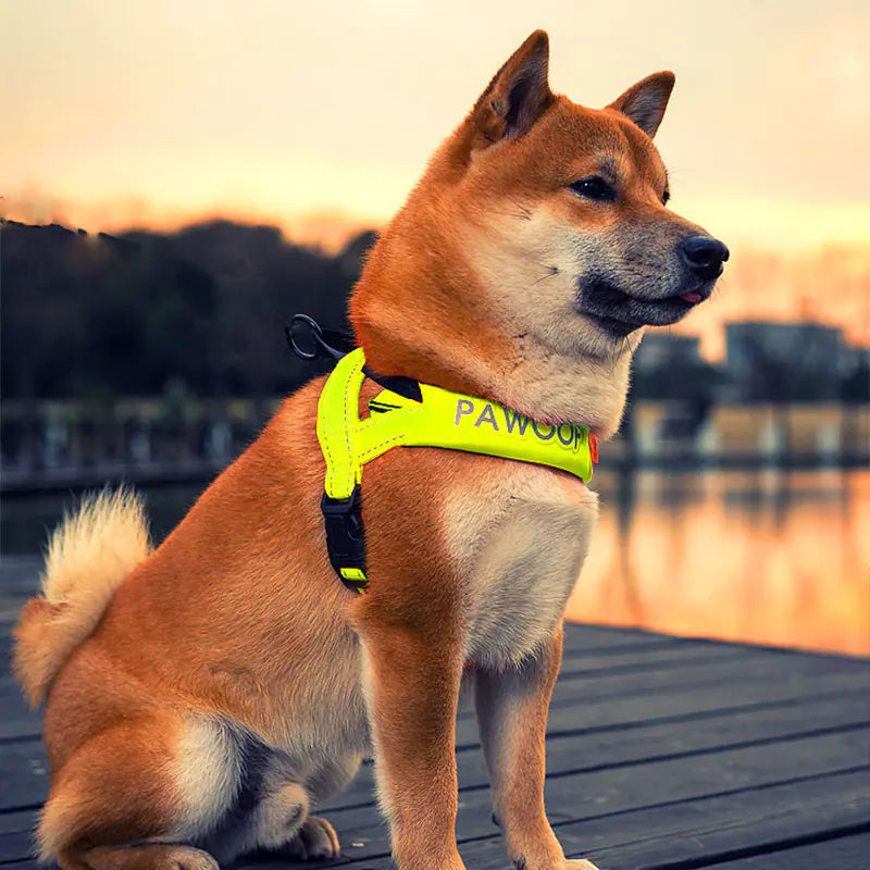 Comfort Walk Dog Harness for Large Breeds