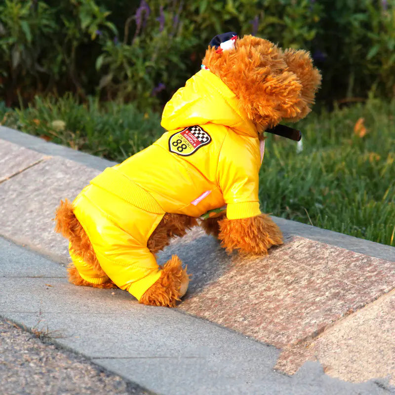 Cozy Pet Winter Down Jacket