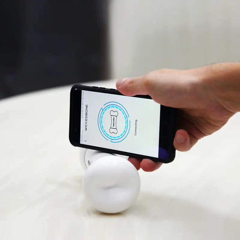 IntelliBone Robotic Pet Toy