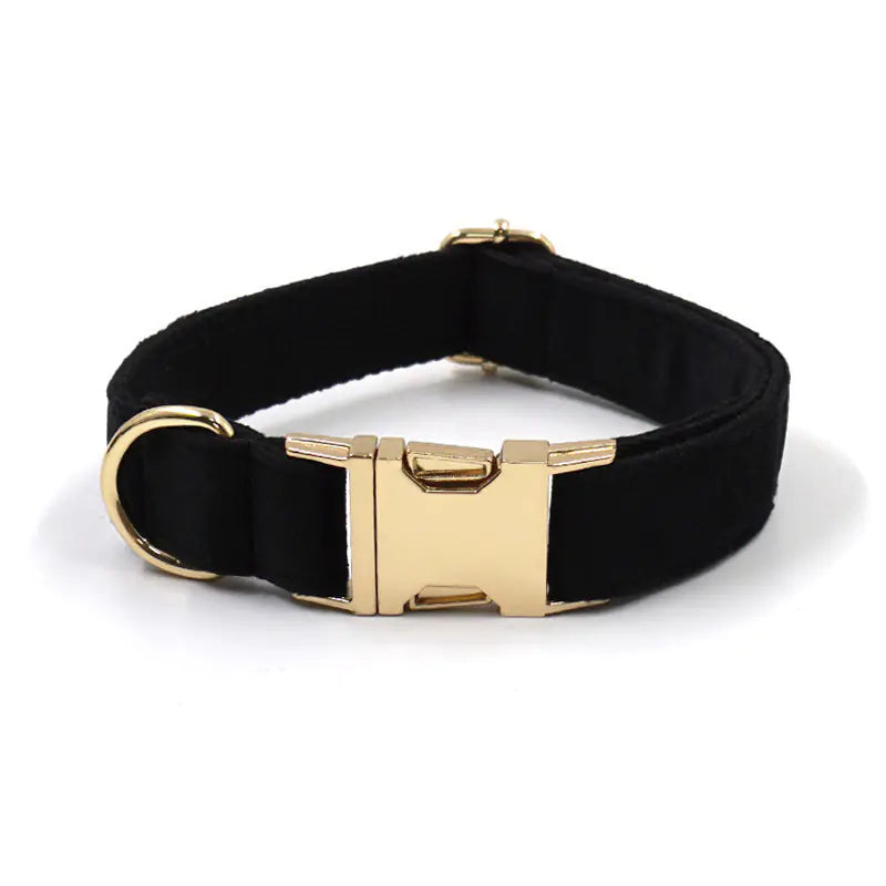 Chic Secure Pet Collar