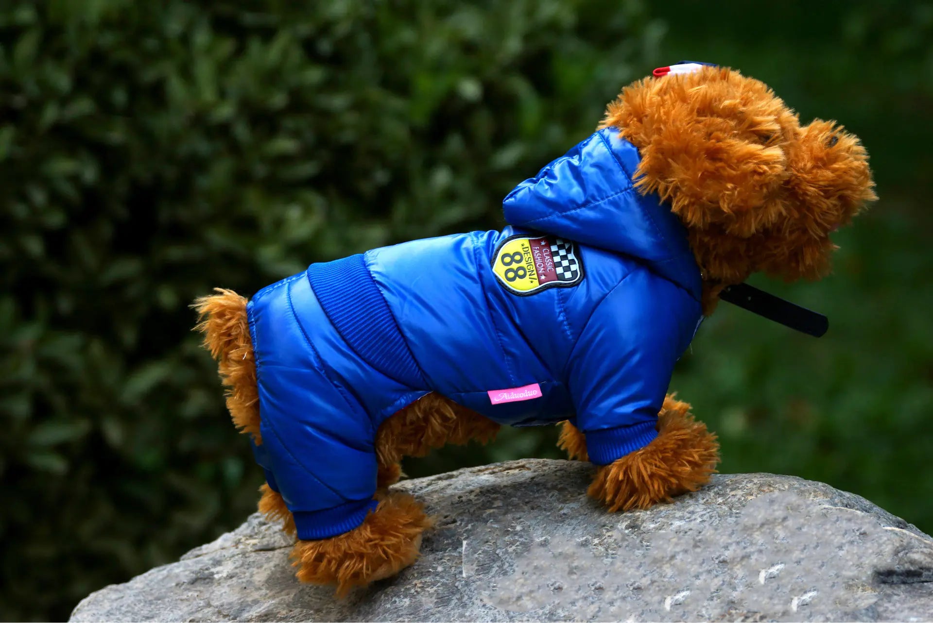 Cozy Pet Winter Down Jacket