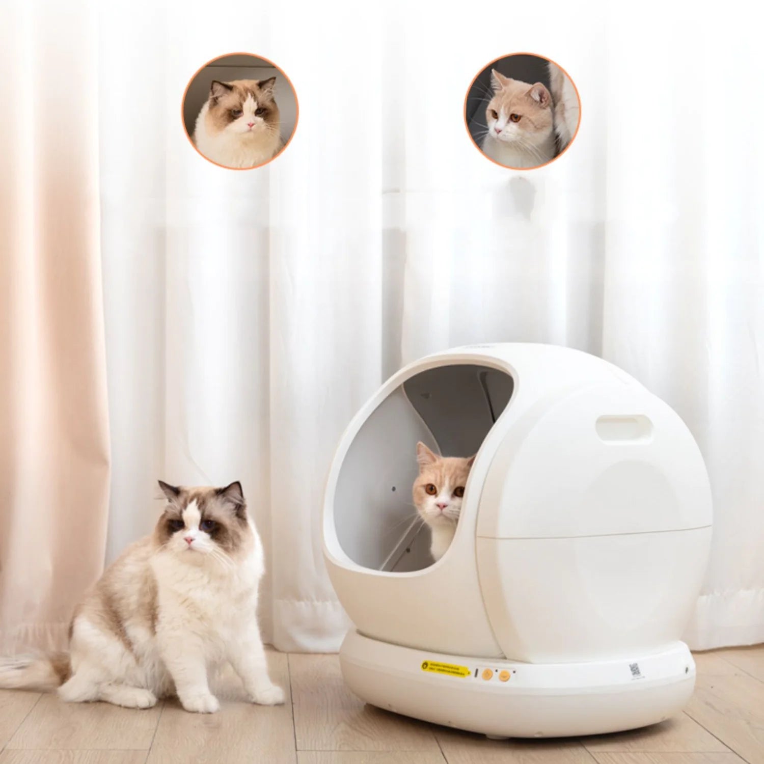 White cat litter box with a cat peeking out, sitting next to it on a light wood floor.