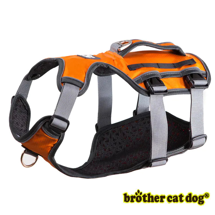 Cool Mesh Pet Harness & Leash Combo