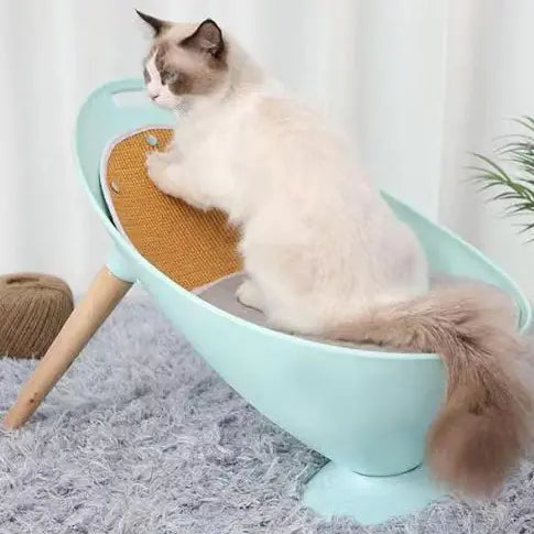 Cat sitting on a modern pet bed with a scratching post