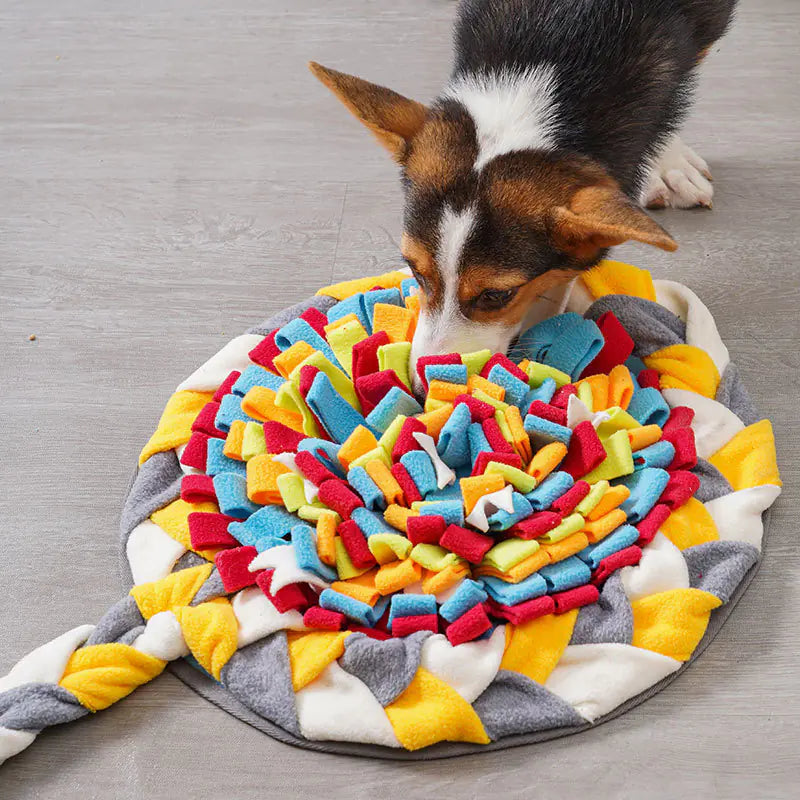 Dog playing with a colorful snuffle mat on a wooden floor