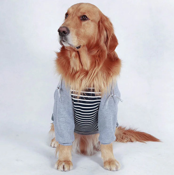 Autumn/Winter Large Dog Cotton Hoodie