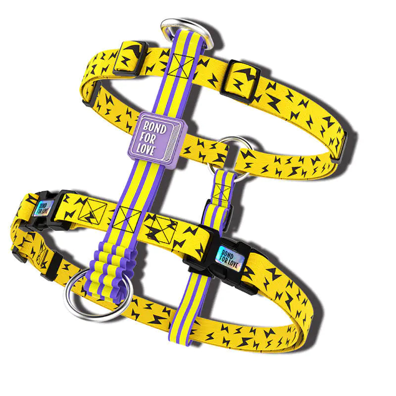Big Dog Secure Harness Vest with Okinawa Leash