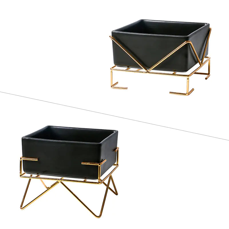 Elevated Ceramic Pet Bowl Duo with Stand