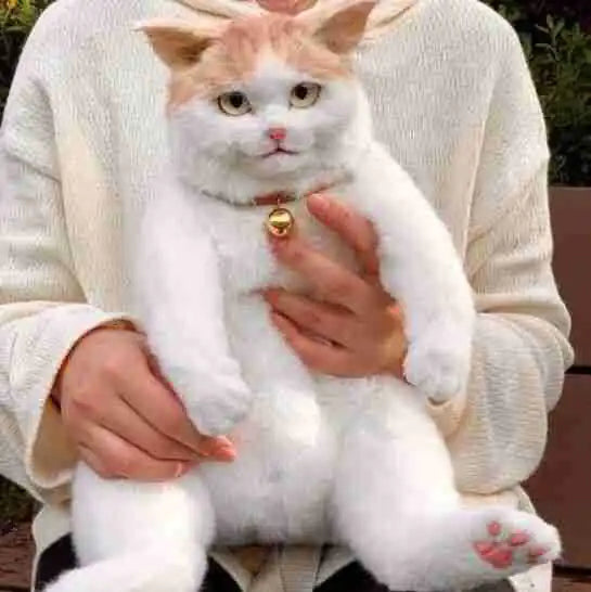 Kitty Companion Backpack