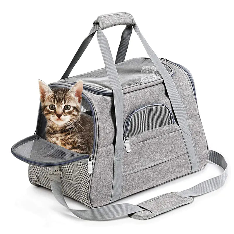 Compact Easy-Fold Pet Travel Bag