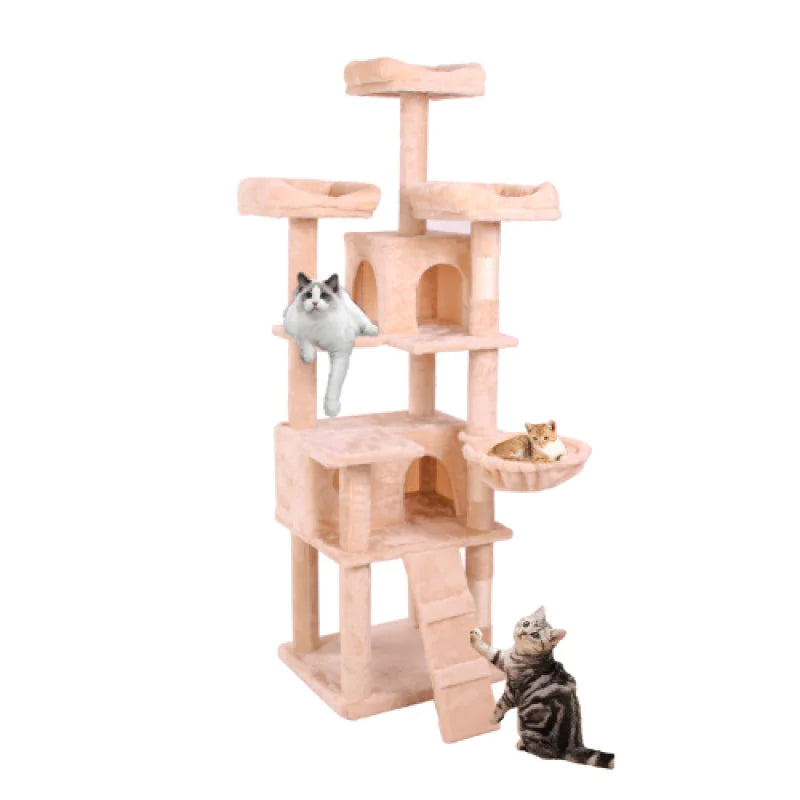 Feline Adventure Tower