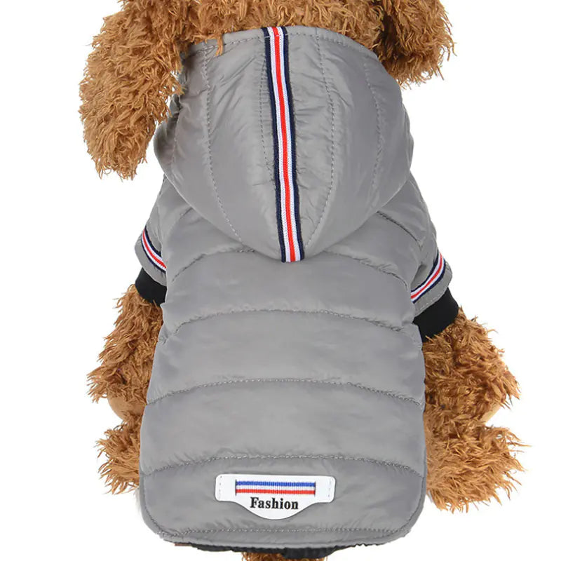 Chic Pet Winter Jacket