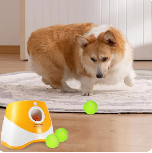 Auto Ball Thrower