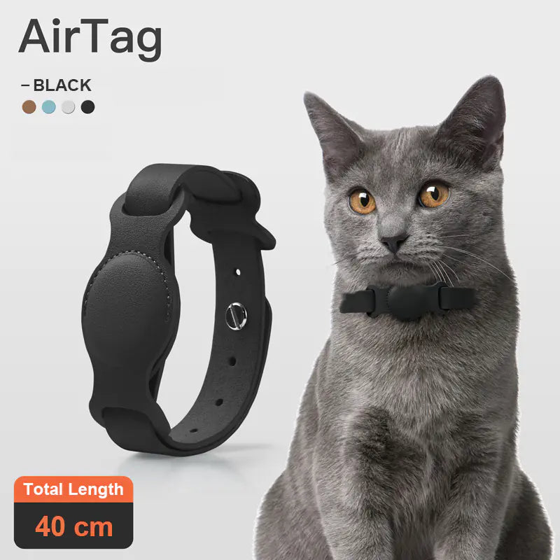 SecureLeather Pet Collar Case