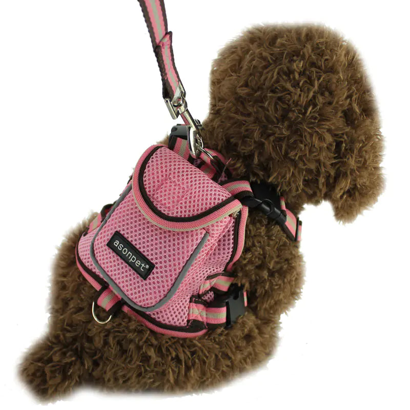 Compact Pooch Pack and Harness