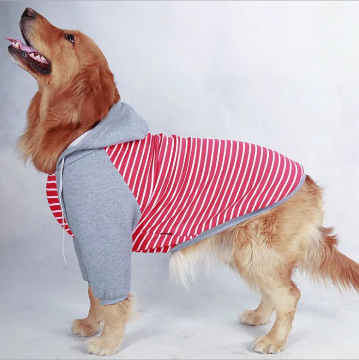 Autumn/Winter Large Dog Cotton Hoodie — Cozy, Stylish Hooded Jacket for Big Breeds like Golden Retrievers & Labradors - petcareville