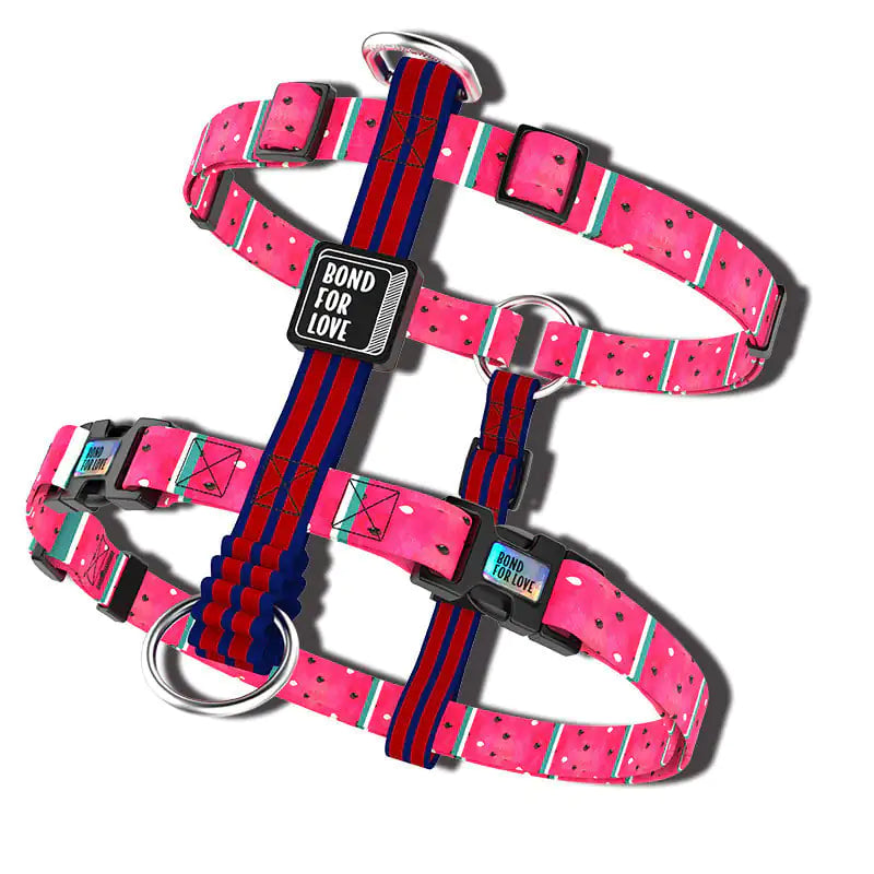 Big Dog Secure Harness Vest with Okinawa Leash