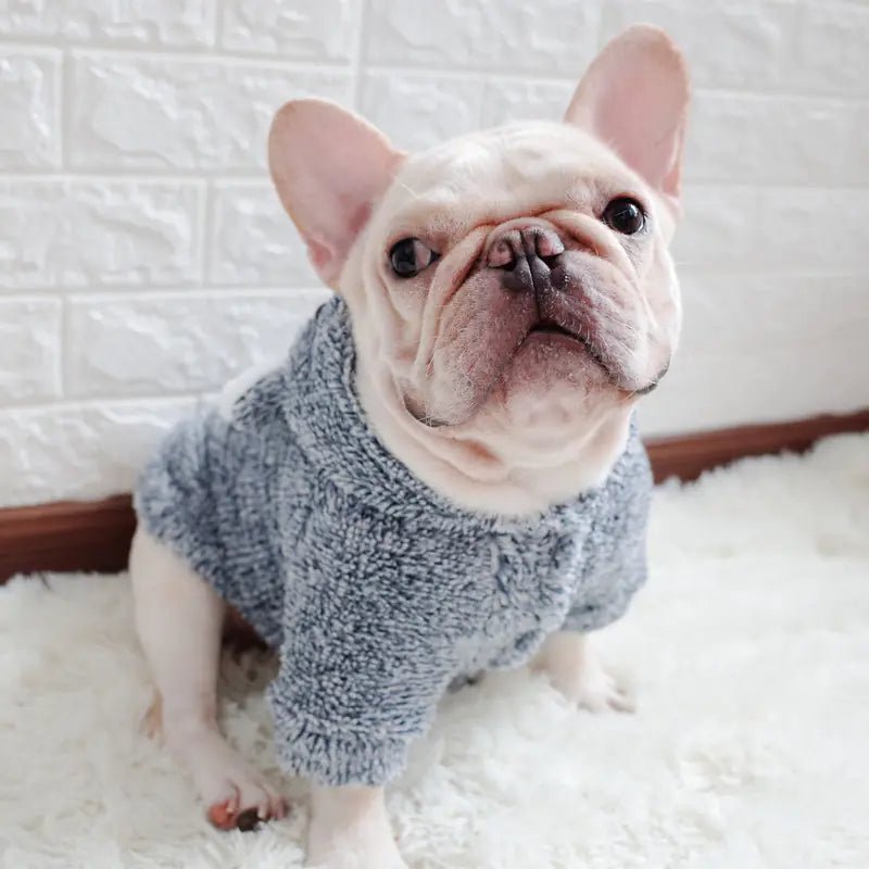 Cozy Canine Cotton Coats — Soft Coral Velvet Dog Jackets for Warmth and Style, Sizes S to XXL - petcareville