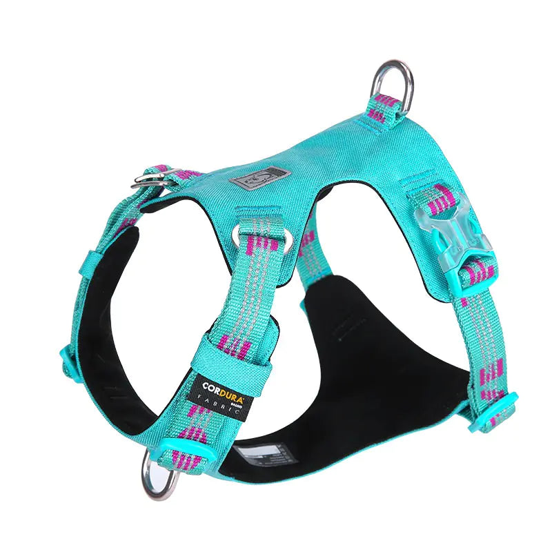 IllumiSafe Reflective Dog Harness