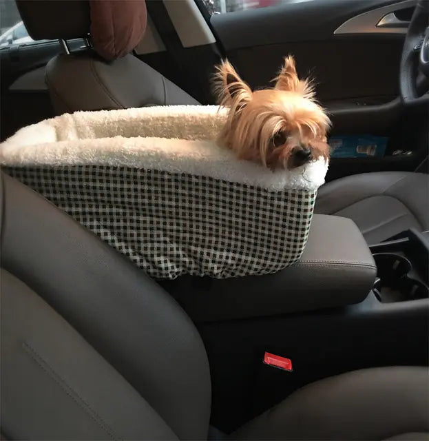 Auto Pup Lounge with Cushion