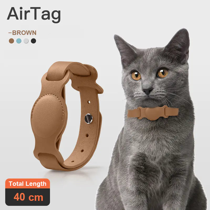 SecureLeather Pet Collar Case