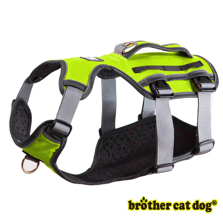 Cool Mesh Pet Harness & Leash Combo