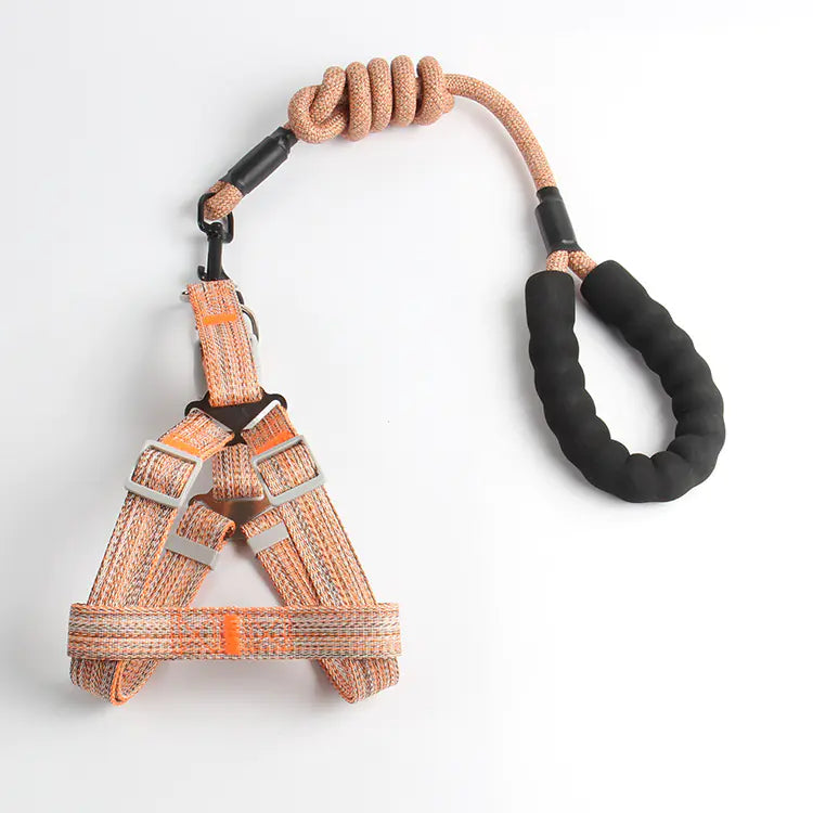 Small Dog Walk Set - Wholesale
