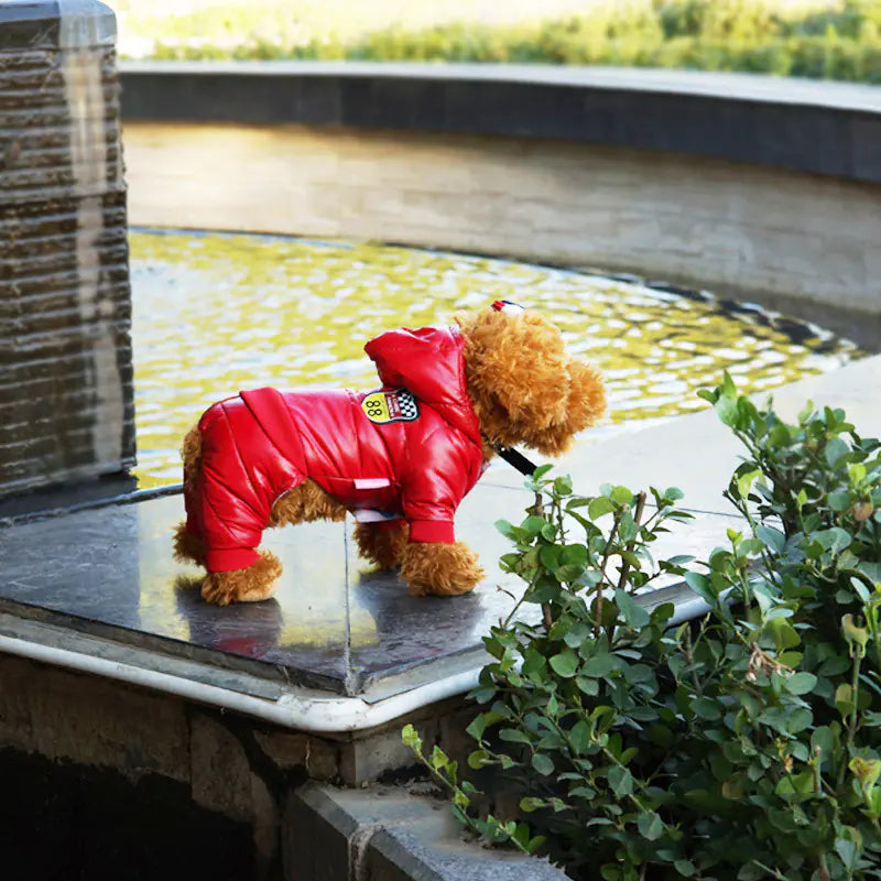 Cozy Pet Winter Down Jacket