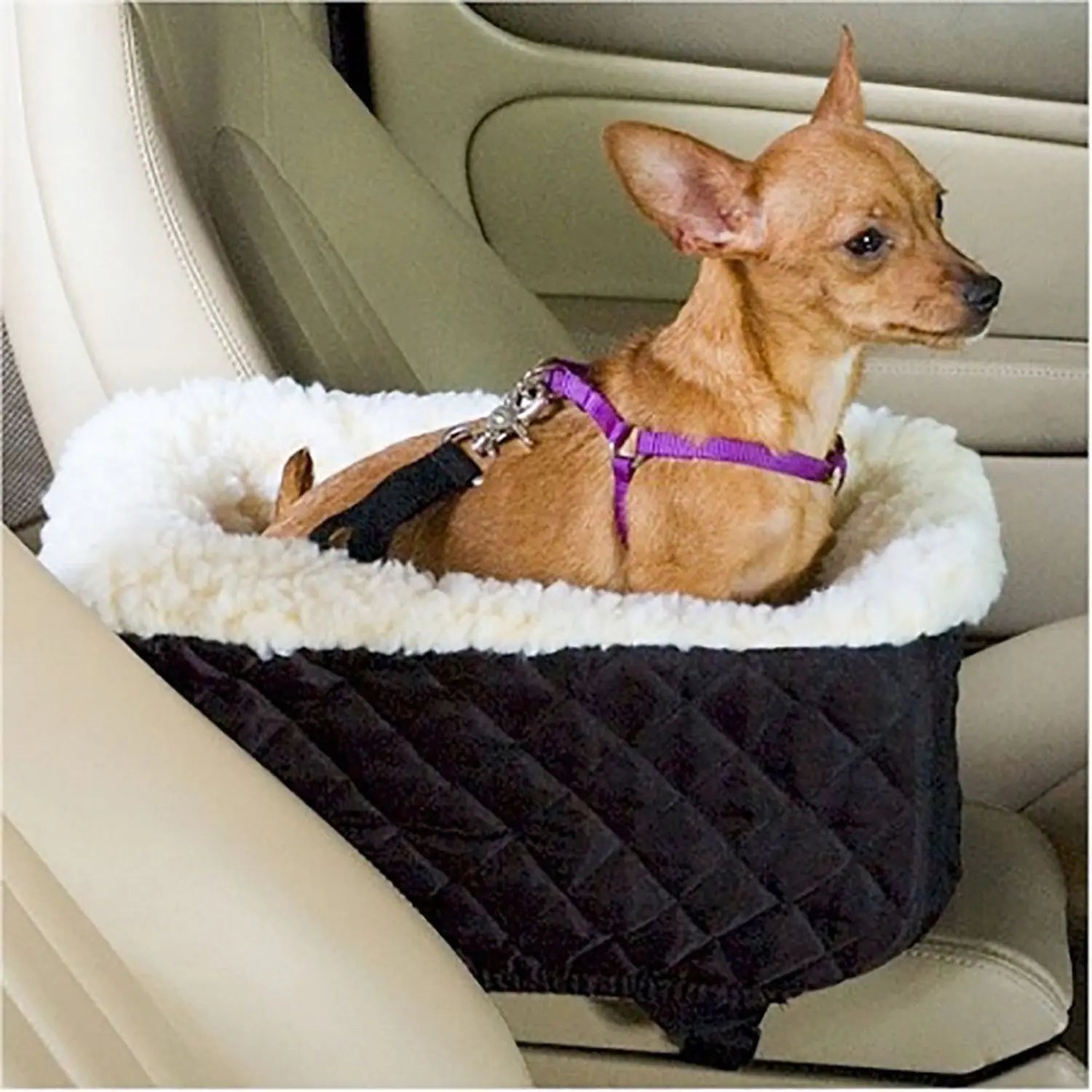 Auto Pup Lounge with Cushion