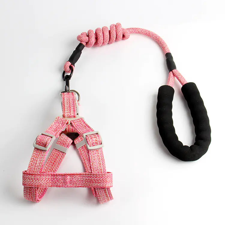 Small Dog Walk Set - Wholesale